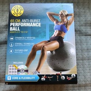Gold’s Gym 65 cm performance ball